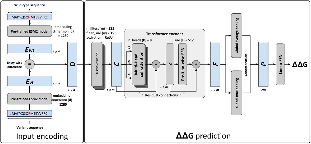 DDGemb architecture